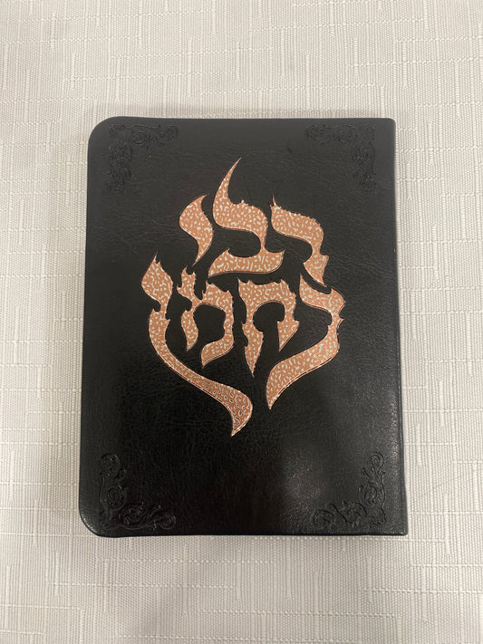 תיקון הכללי מעוצב עברית וצרפתית